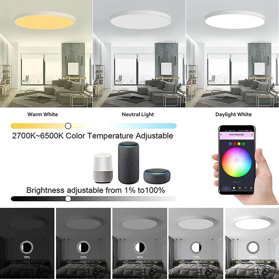 Colorful Smart Ceiling Light™ – App & Voice Controlled LED Lamp | Paseso